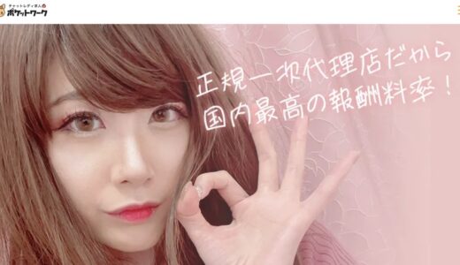 ポケットワークはメールのみでも稼げる？メッセージだけで稼働したい人は必見